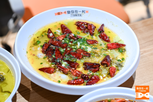 鱼你在一起
